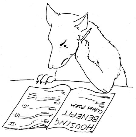 dog applying for housing benefit