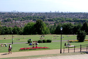 alexandra palace view